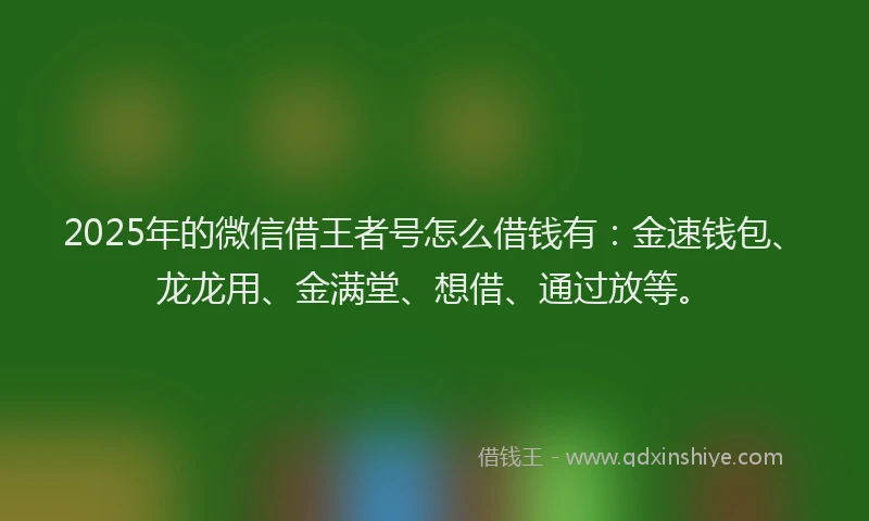 2025年的微信借王者号怎么借钱有：金速钱包、龙龙用、金满堂、想借、通过放等。