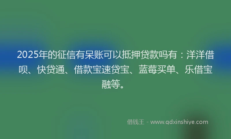 2025年的征信有呆账可以抵押贷款吗有：洋洋借呗、快贷通、借款宝速贷宝、蓝莓买单、乐借宝融等。