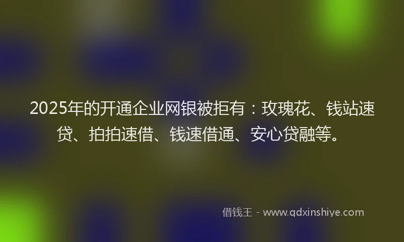 2025年的开通企业网银被拒有：玫瑰花、钱站速贷、拍拍速借、钱速借通、安心贷融等。