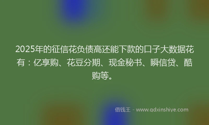 2025年的征信花负债高还能下款的口子大数据花有：亿享购、花豆分期、现金秘书、瞬信贷、酷购等。