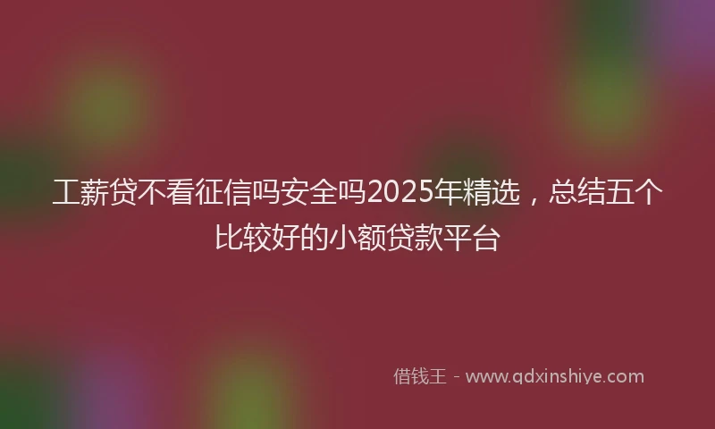 工薪贷不看征信吗安全吗2025年精选，总结五个比较好的小额贷款平台