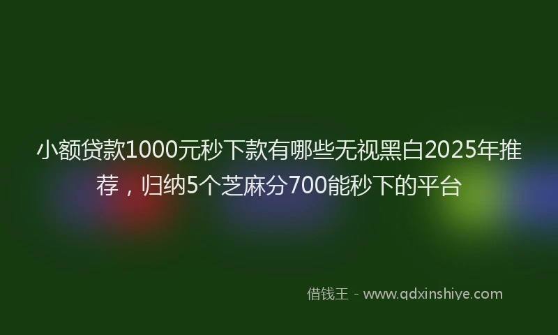 小额贷款1000元秒下款有哪些无视黑白2025年推荐，归纳5个芝麻分700能秒下的平台