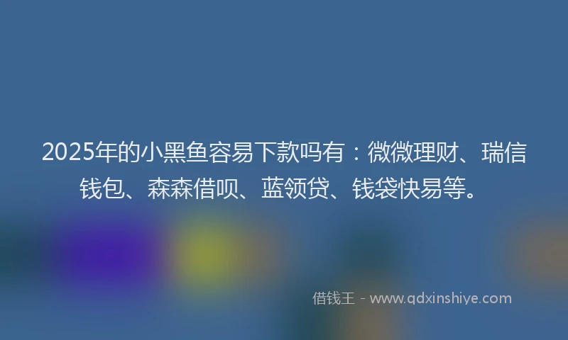 2025年的小黑鱼容易下款吗有：微微理财、瑞信钱包、森森借呗、蓝领贷、钱袋快易等。