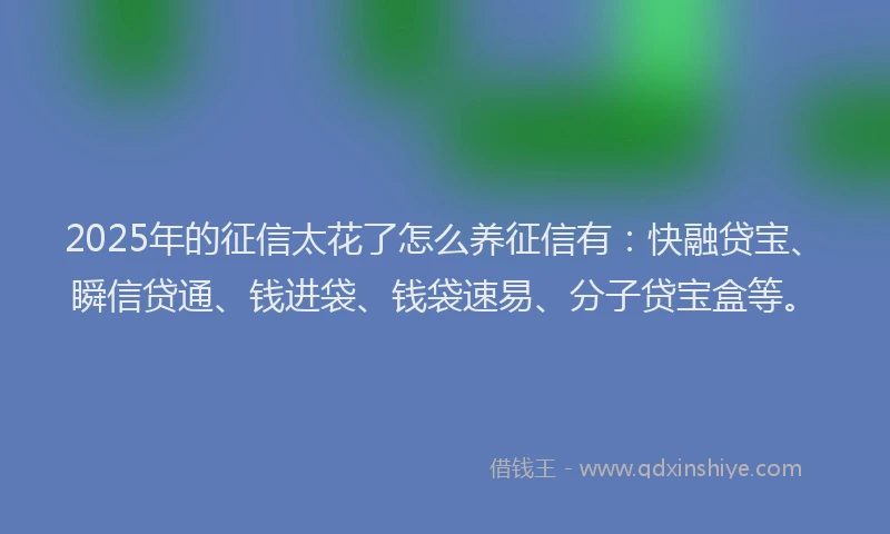 2025年的征信太花了怎么养征信有：快融贷宝、瞬信贷通、钱进袋、钱袋速易、分子贷宝盒等。