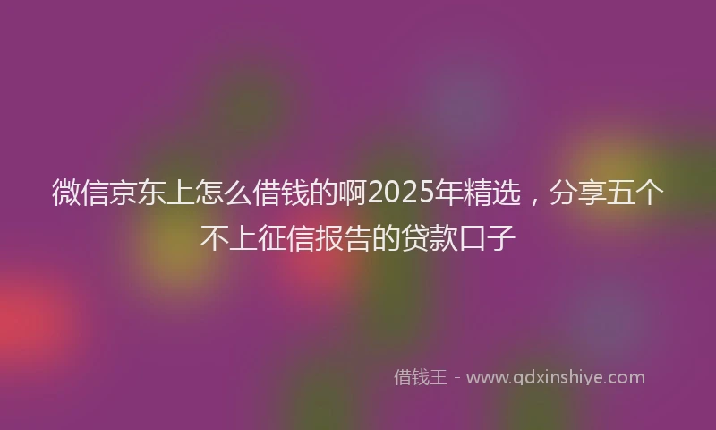 微信京东上怎么借钱的啊2025年精选，分享五个不上征信报告的贷款口子