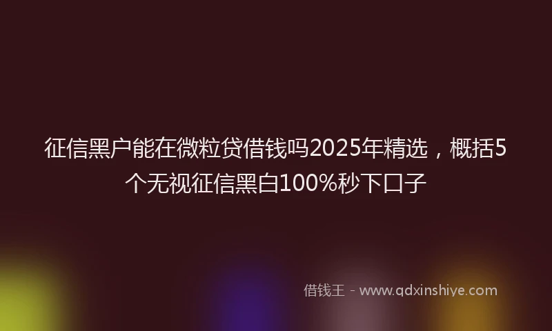 征信黑户能在微粒贷借钱吗2025年精选，概括5个无视征信黑白100%秒下口子