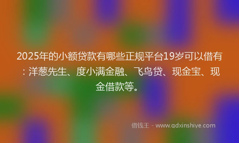 2025年的小额贷款有哪些正规平台19岁可以借有：洋葱先生、度小满金融、飞鸟贷、现金宝、现金借款等。