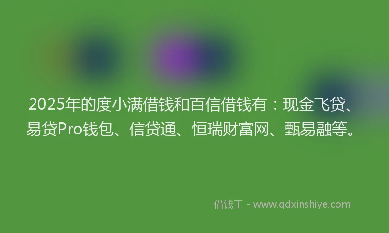 2025年的度小满借钱和百信借钱有：现金飞贷、易贷Pro钱包、信贷通、恒瑞财富网、甄易融等。