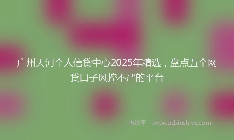 广州天河个人信贷中心2025年精选，盘点五个网贷口子风控不严的平台