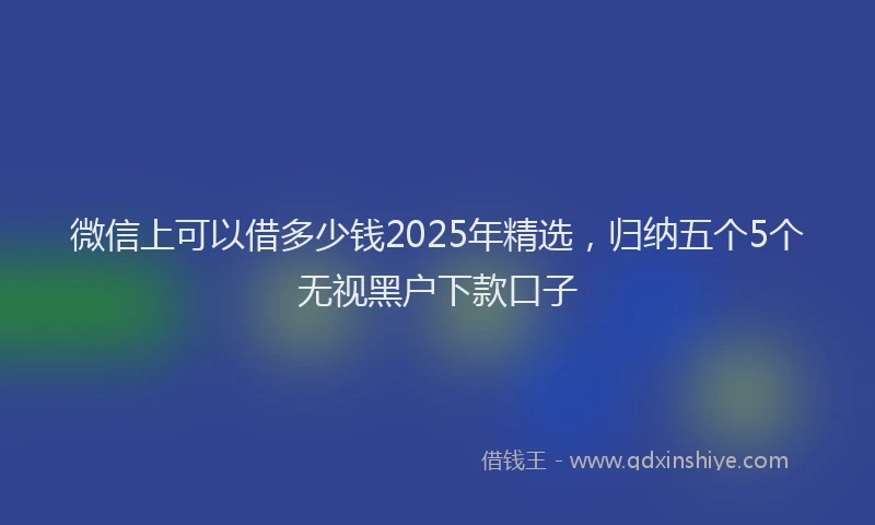 微信上可以借多少钱2025年精选，归纳五个5个无视黑户下款口子