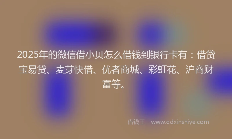2025年的微信借小贝怎么借钱到银行卡有：借贷宝易贷、麦芽快借、优者商城、彩虹花、沪商财富等。