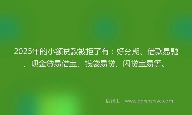 2025年的小额贷款被拒了有：好分期、借款易融、现金贷易借宝、钱袋易贷、闪贷宝易等。