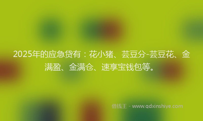 2025年的应急贷有：花小猪、芸豆分-芸豆花、金满盈、金满仓、速享宝钱包等。