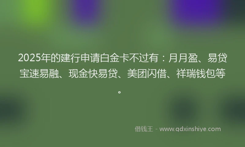 2025年的建行申请白金卡不过有：月月盈、易贷宝速易融、现金快易贷、美团闪借、祥瑞钱包等。