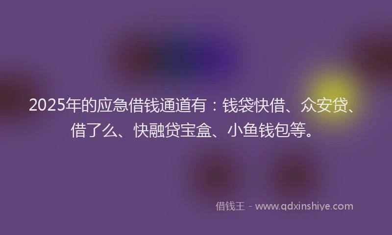 2025年的应急借钱通道有：钱袋快借、众安贷、借了么、快融贷宝盒、小鱼钱包等。