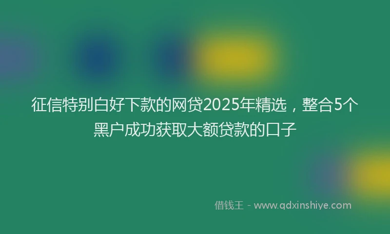 征信特别白好下款的网贷2025年精选，整合5个黑户成功获取大额贷款的口子