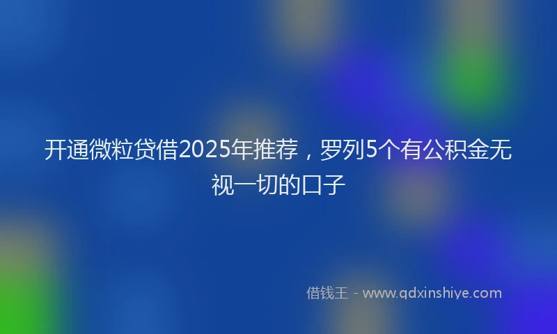 开通微粒贷借2025年推荐，罗列5个有公积金无视一切的口子
