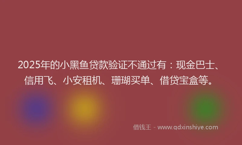 2025年的小黑鱼贷款验证不通过有：现金巴士、信用飞、小安租机、珊瑚买单、借贷宝盒等。