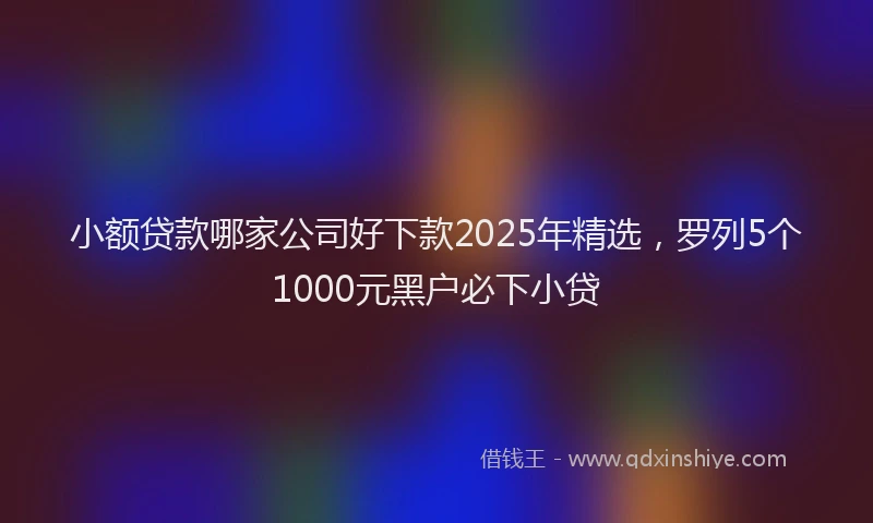 小额贷款哪家公司好下款2025年精选，罗列5个1000元黑户必下小贷