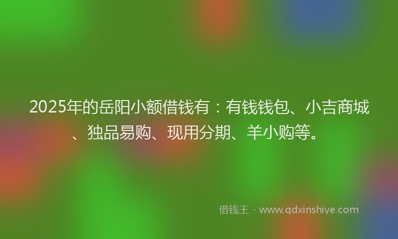 2025年的岳阳小额借钱有：有钱钱包、小吉商城、独品易购、现用分期、羊小购等。