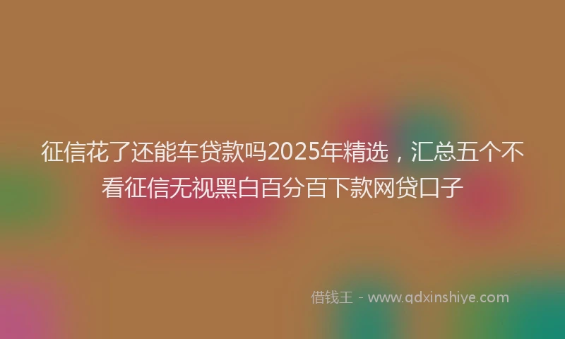 征信花了还能车贷款吗2025年精选，汇总五个不看征信无视黑白百分百下款网贷口子