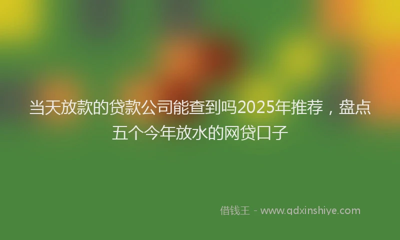 当天放款的贷款公司能查到吗2025年推荐，盘点五个今年放水的网贷口子