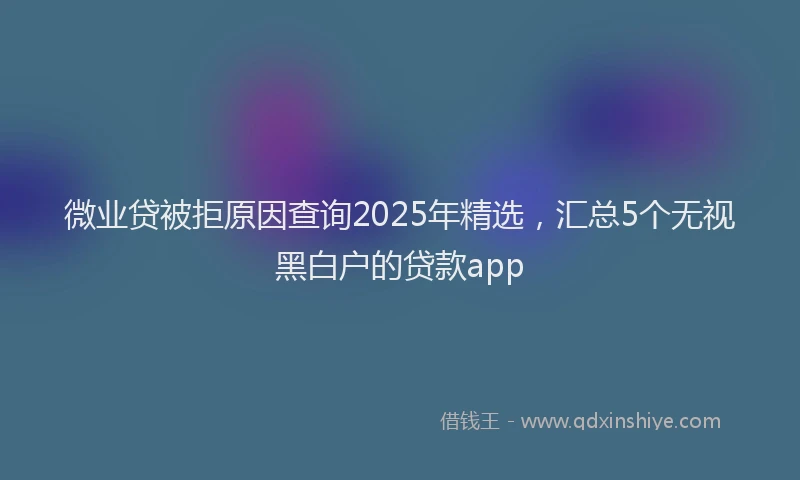 微业贷被拒原因查询2025年精选，汇总5个无视黑白户的贷款app