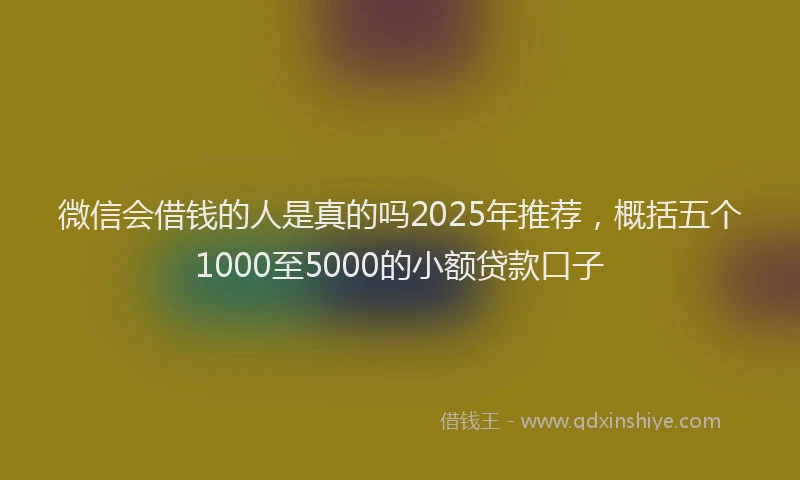 微信会借钱的人是真的吗2025年推荐，概括五个1000至5000的小额贷款口子