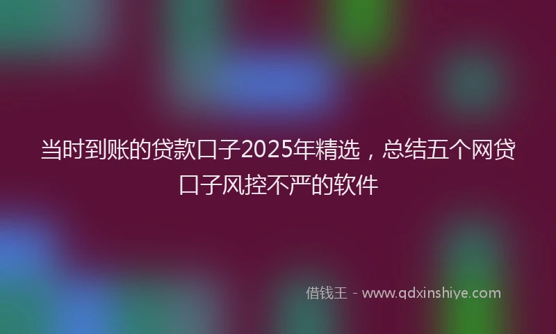 当时到账的贷款口子2025年精选，总结五个网贷口子风控不严的软件
