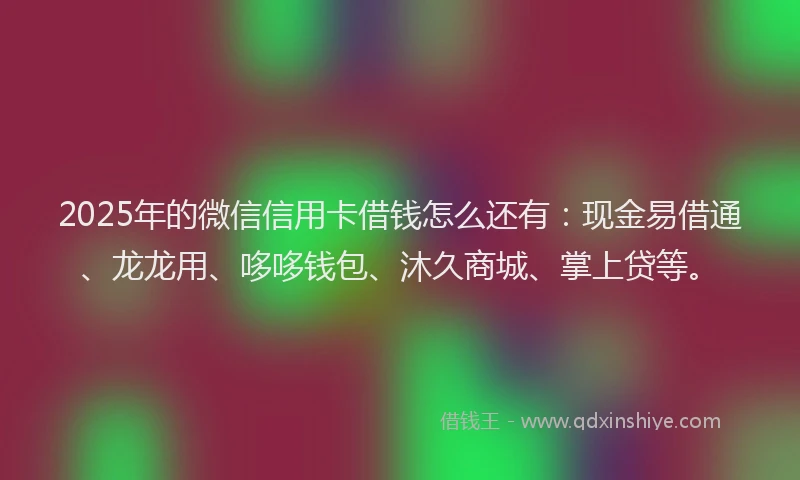2025年的微信信用卡借钱怎么还有：现金易借通、龙龙用、哆哆钱包、沐久商城、掌上贷等。