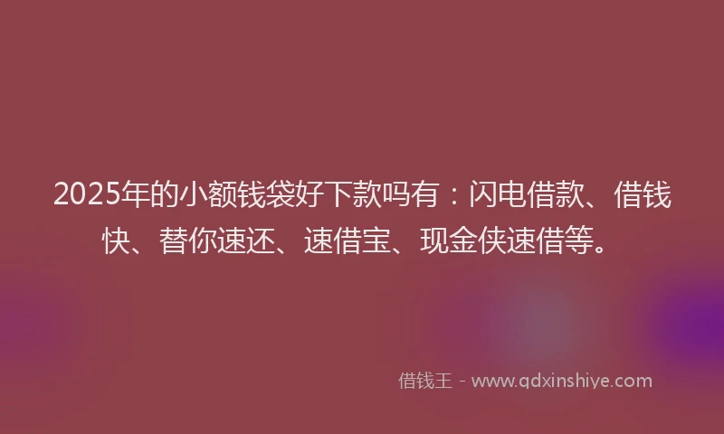 2025年的小额钱袋好下款吗有：闪电借款、借钱快、替你速还、速借宝、现金侠速借等。