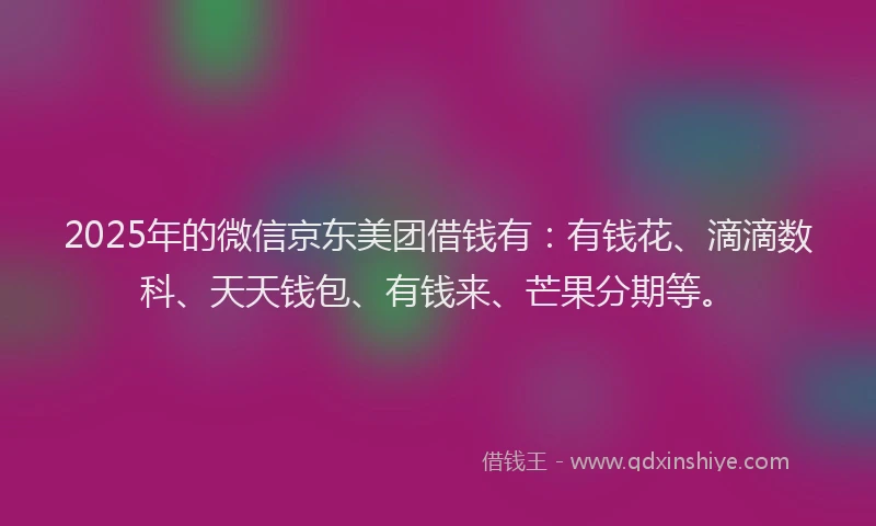 2025年的微信京东美团借钱有：有钱花、滴滴数科、天天钱包、有钱来、芒果分期等。