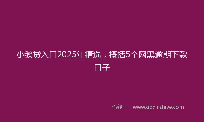 小鹅贷入口2025年精选，概括5个网黑逾期下款口子