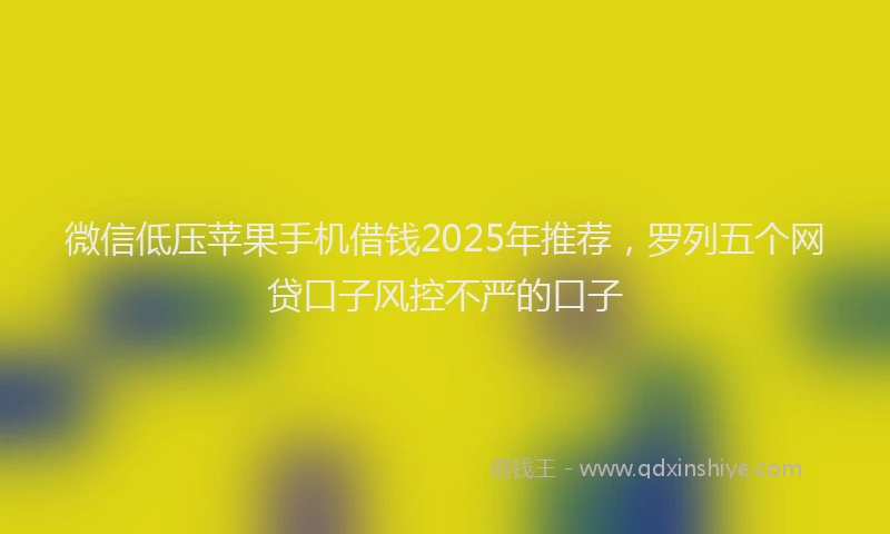 微信低压苹果手机借钱2025年推荐，罗列五个网贷口子风控不严的口子