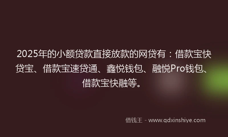 2025年的小额贷款直接放款的网贷有：借款宝快贷宝、借款宝速贷通、鑫悦钱包、融悦Pro钱包、借款宝快融等。