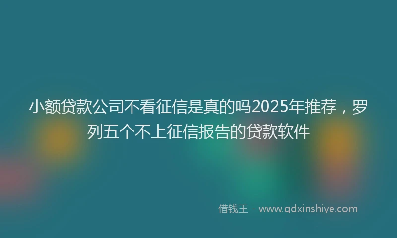 小额贷款公司不看征信是真的吗2025年推荐，罗列五个不上征信报告的贷款软件