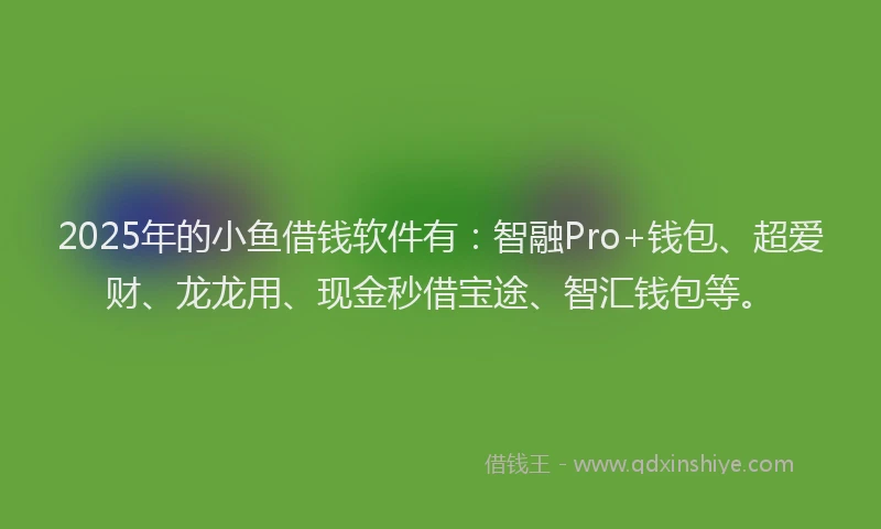 2025年的小鱼借钱软件有：智融Pro+钱包、超爱财、龙龙用、现金秒借宝途、智汇钱包等。