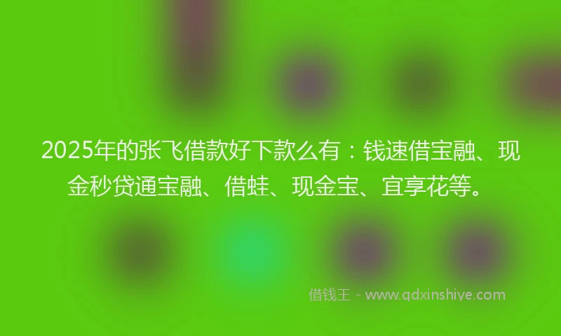 2025年的张飞借款好下款么有：钱速借宝融、现金秒贷通宝融、借蛙、现金宝、宜享花等。