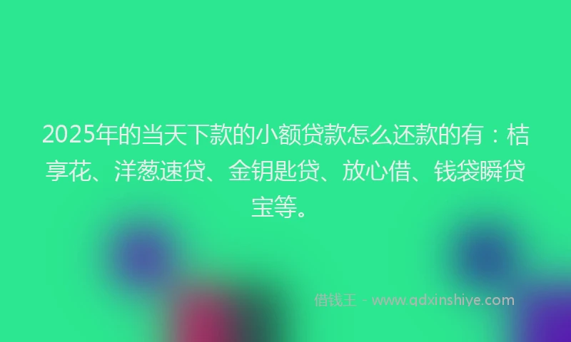 2025年的当天下款的小额贷款怎么还款的有：桔享花、洋葱速贷、金钥匙贷、放心借、钱袋瞬贷宝等。