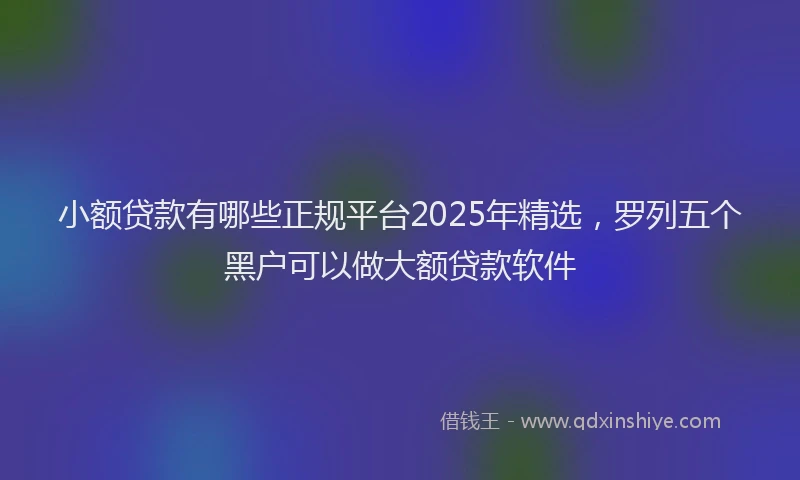 小额贷款有哪些正规平台2025年精选，罗列五个黑户可以做大额贷款软件