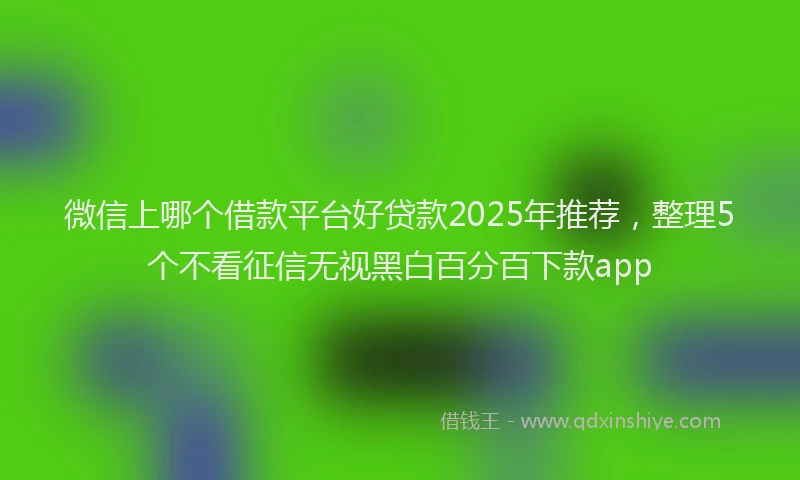 微信上哪个借款平台好贷款2025年推荐，整理5个不看征信无视黑白百分百下款app