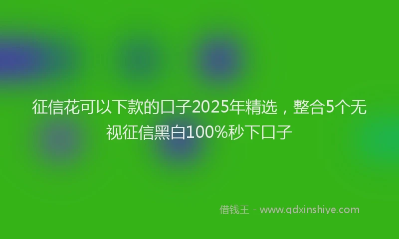 征信花可以下款的口子2025年精选，整合5个无视征信黑白100%秒下口子