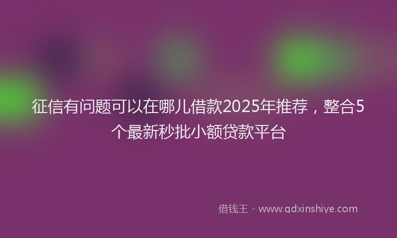 征信有问题可以在哪儿借款2025年推荐，整合5个最新秒批小额贷款平台