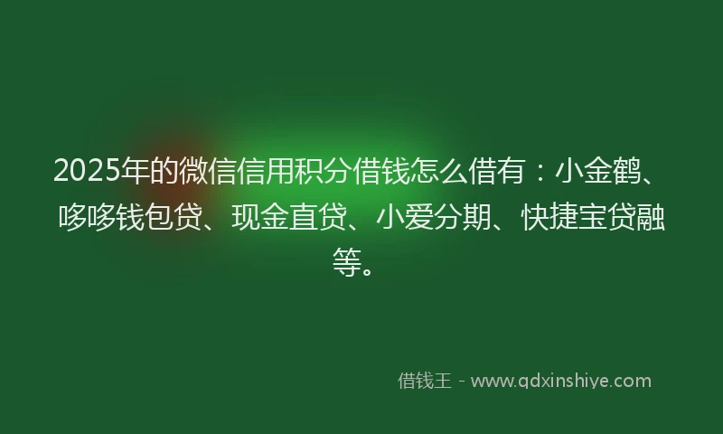 2025年的微信信用积分借钱怎么借有：小金鹤、哆哆钱包贷、现金直贷、小爱分期、快捷宝贷融等。