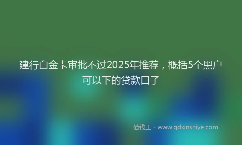 建行白金卡审批不过2025年推荐，概括5个黑户可以下的贷款口子