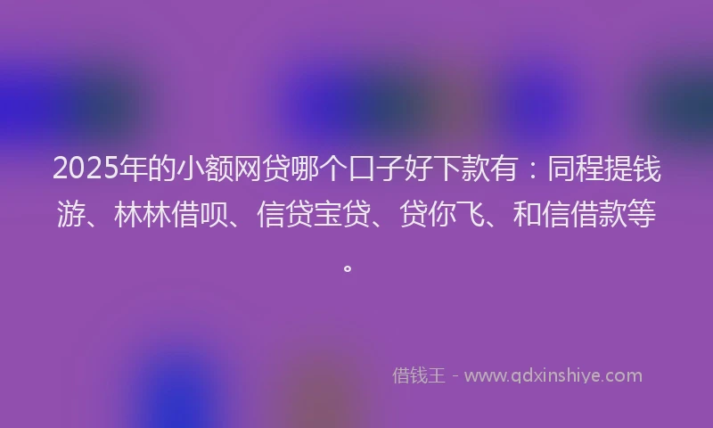 2025年的小额网贷哪个口子好下款有：同程提钱游、林林借呗、信贷宝贷、贷你飞、和信借款等。
