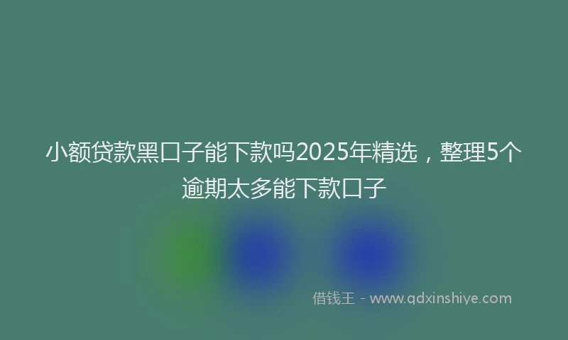小额贷款黑口子能下款吗2025年精选，整理5个逾期太多能下款口子