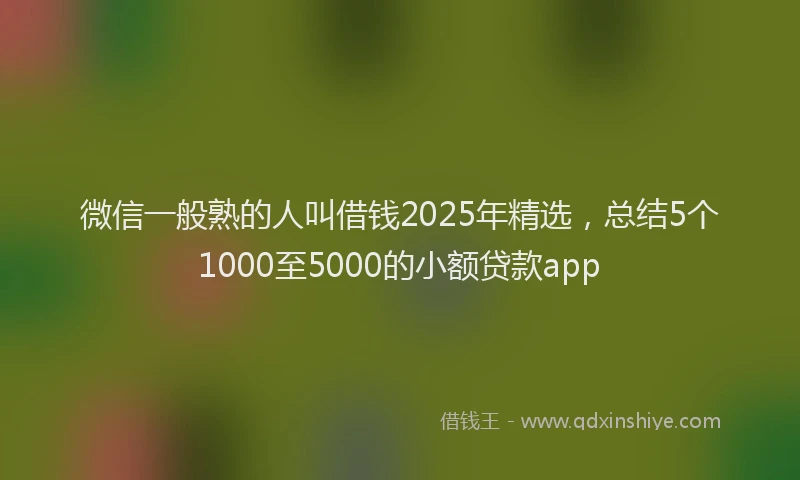 微信一般熟的人叫借钱2025年精选，总结5个1000至5000的小额贷款app