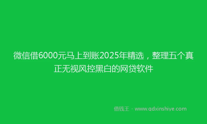 微信借6000元马上到账2025年精选，整理五个真正无视风控黑白的网贷软件