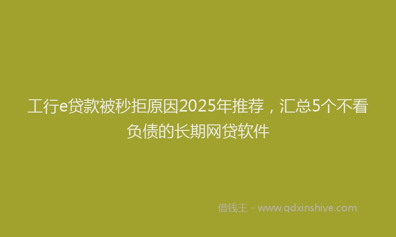 工行e贷款被秒拒原因2025年推荐，汇总5个不看负债的长期网贷软件